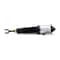 Arnott Air Suspension Strut, As-2777 AS-2777 - alternate 4